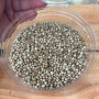 Fertilizante Sumicoat 6 meses