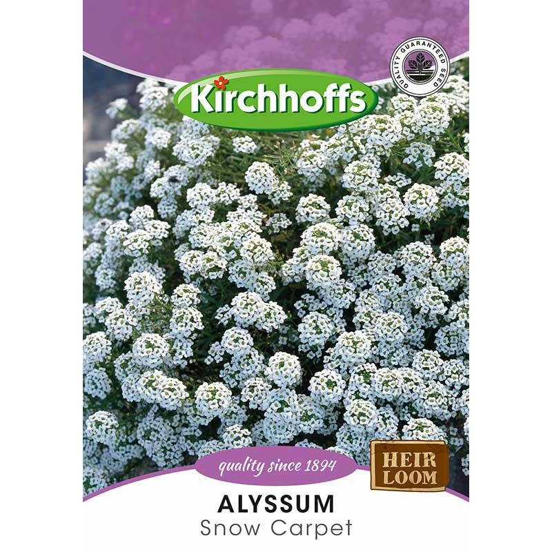 Semillas de Alyssum