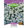 Semillas de Alyssum