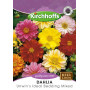 Semillas de Dahlia