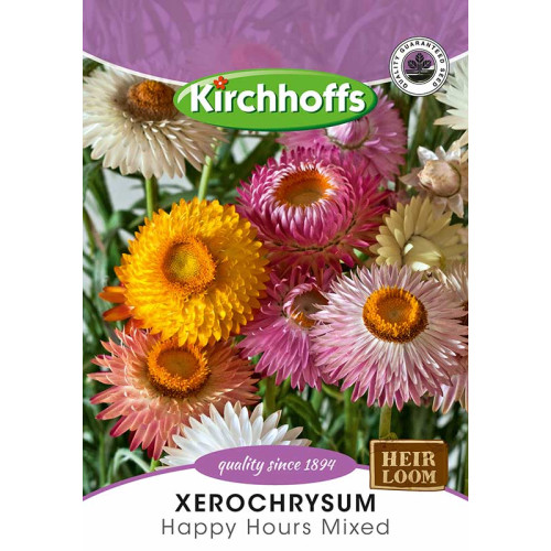 Semillas de Helichrysum