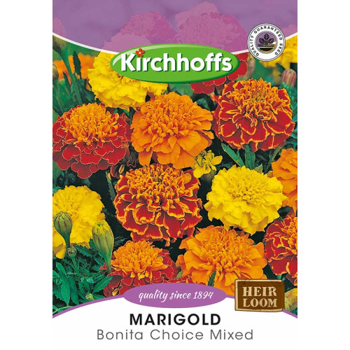 Semillas de Marigold bonita mix
