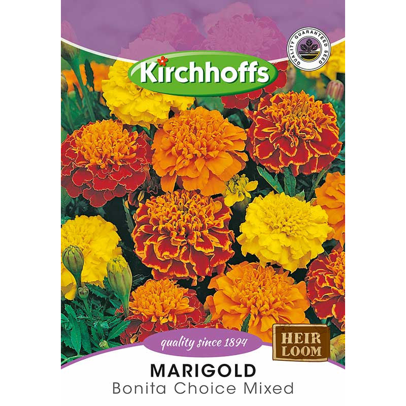 Semillas de Marigold bonita mix