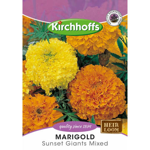 Semillas de Marigold crackerjack / Sunset Giants