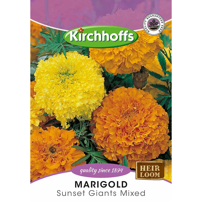 Semillas de Marigold crackerjack / Sunset Giants