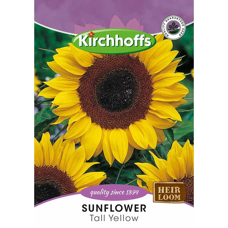Semillas de Sunflower Tall Yellow