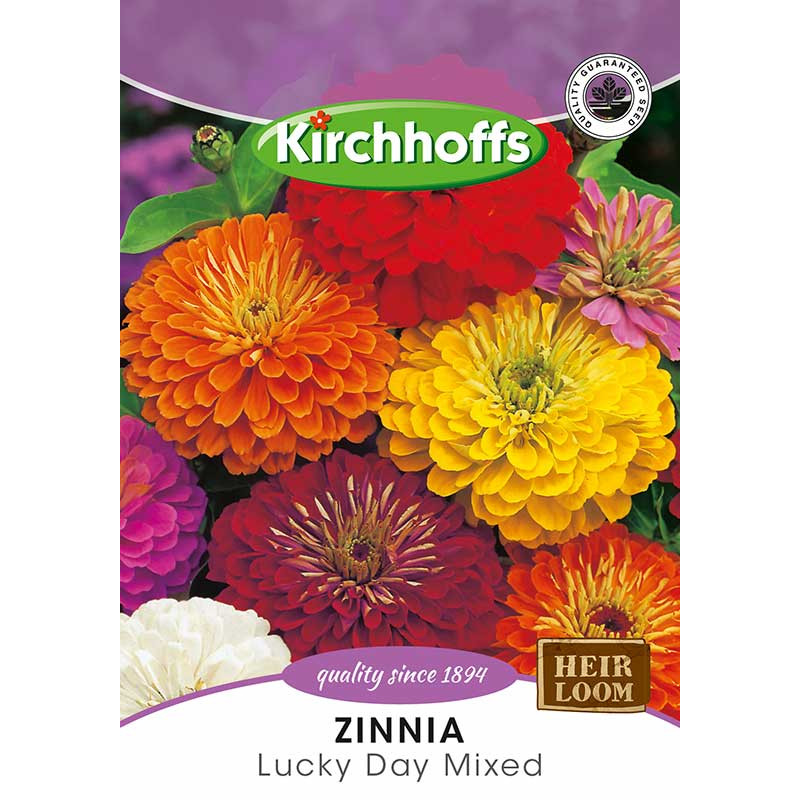 Semillas de Zinnia mix