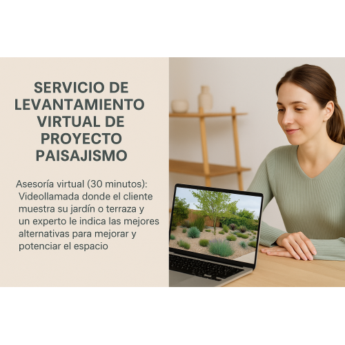 Servicio de Levantamiento Virtual de Proyecto Paisajismo
