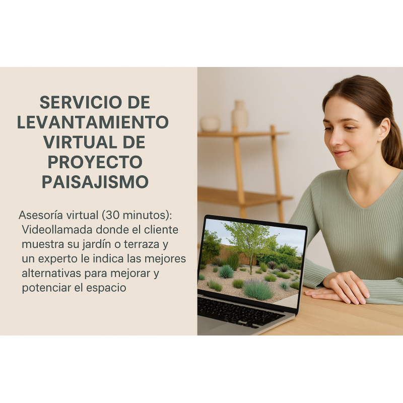 Servicio de Levantamiento Virtual de Proyecto Paisajismo