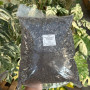 Sustrato especial para plantas de interior — plantas de interior chile