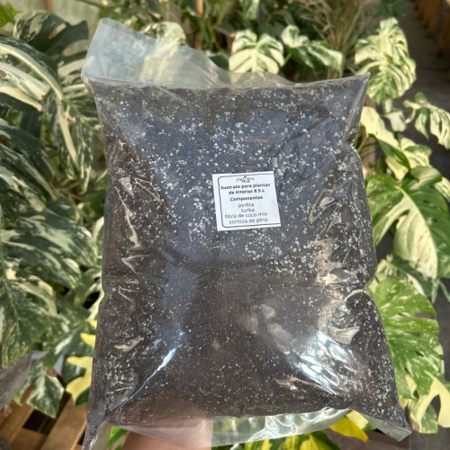 Sustrato especial para plantas de interior — plantas de interior chile
