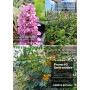 Pack semi sombra — pack semi sombra plantas nativas chile