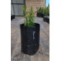 Pichanilla (Gutierrezia resinosa), formaato de venta
