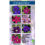 Clematides