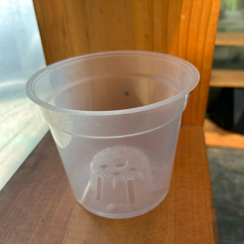 pack 10 Macetero Transparente Plastico Duro