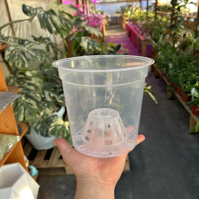 pack 10 Macetero Transparente Plastico Duro