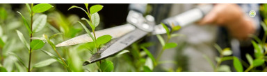 Descubre cortasetos y podadoras en Plantket. Herramientas eléctricas, a batería y manuales para cortar setos, podar arbustos y mantener tu jardín impecable.