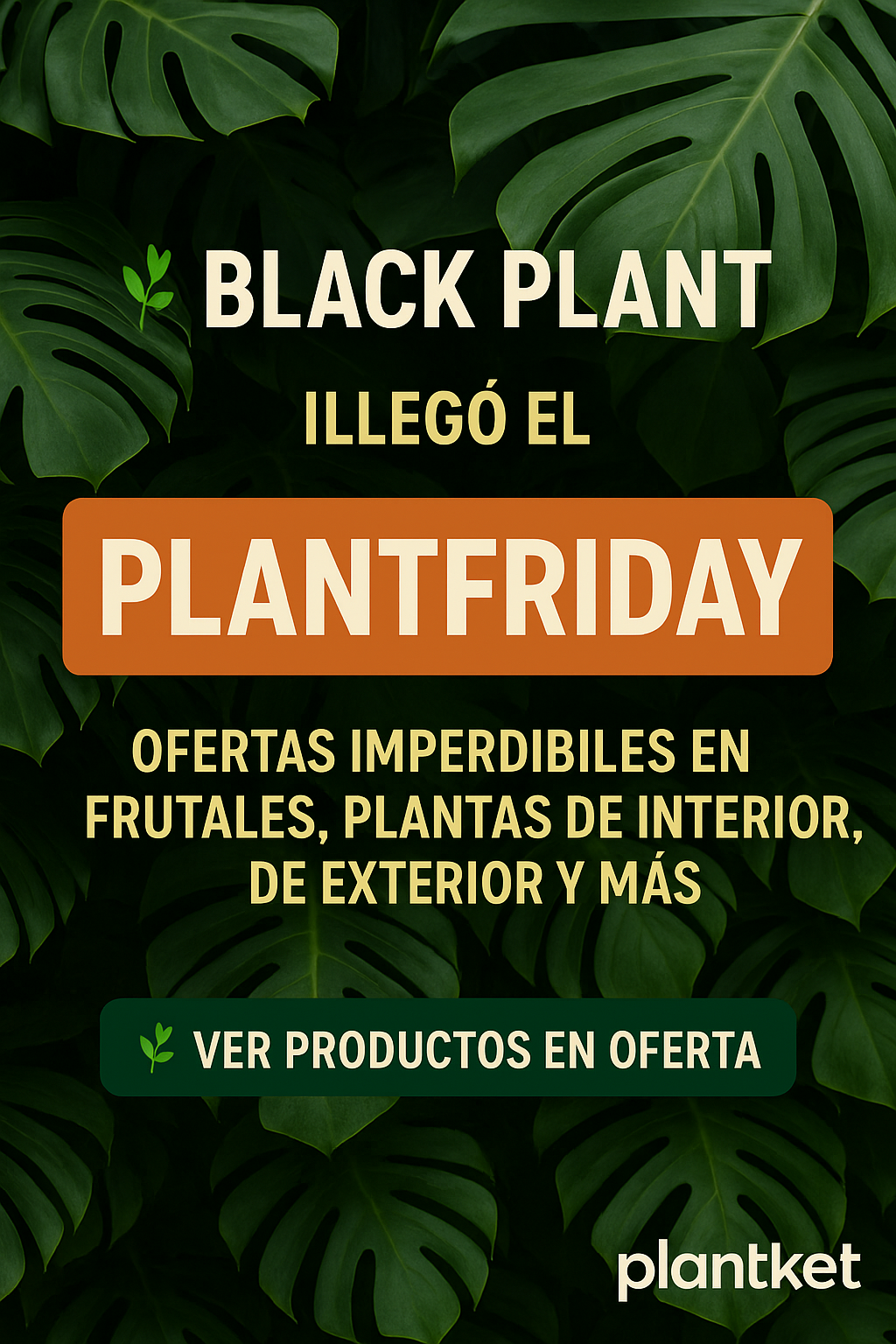 Plant Friday