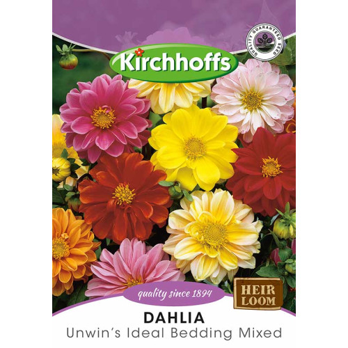Semillas de Dahlia