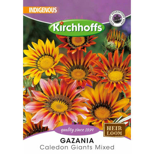 Semillas de Gazania Mix