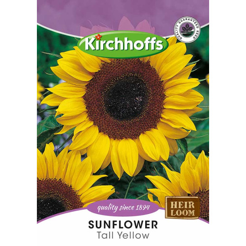 Semillas de Girasol