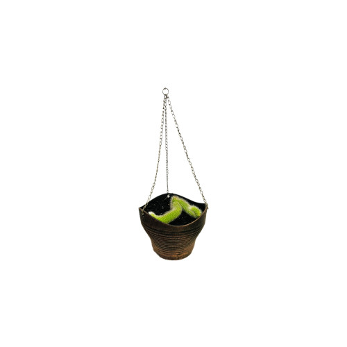 Cola de Mono (Cleistocactus) - Comprar Chile Plantket