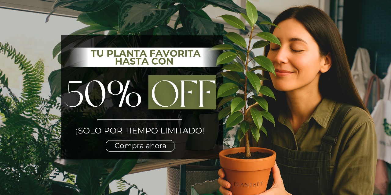50% de descuento