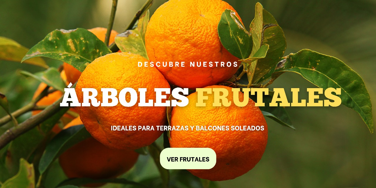 Arboles Frutales