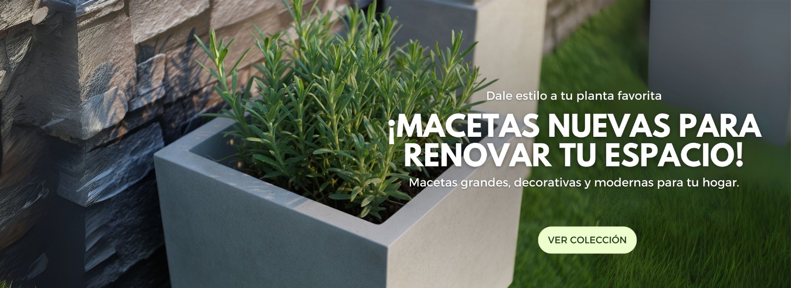 Macetas Nuevas